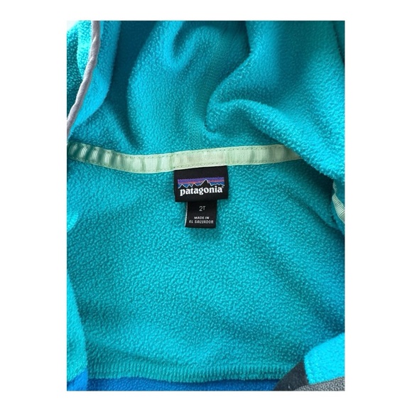 Toddler Patagonia Micro D Snap-T Blue Fleece Jacket - Picture 3 of 5
